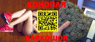 ECSTASY Новодвинск