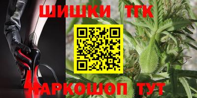ECSTASY Новодвинск