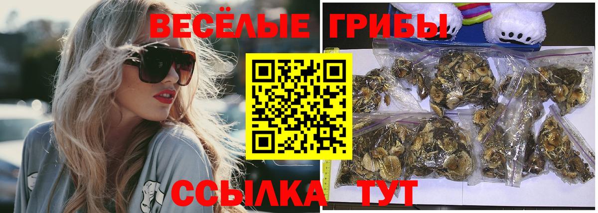 Галлюциногенные грибы ЛСД  Вход с VPN  Истра 