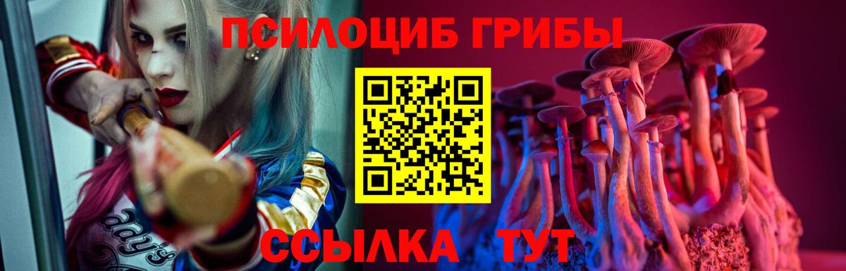 Псилоцибиновые грибы мицелий Истра